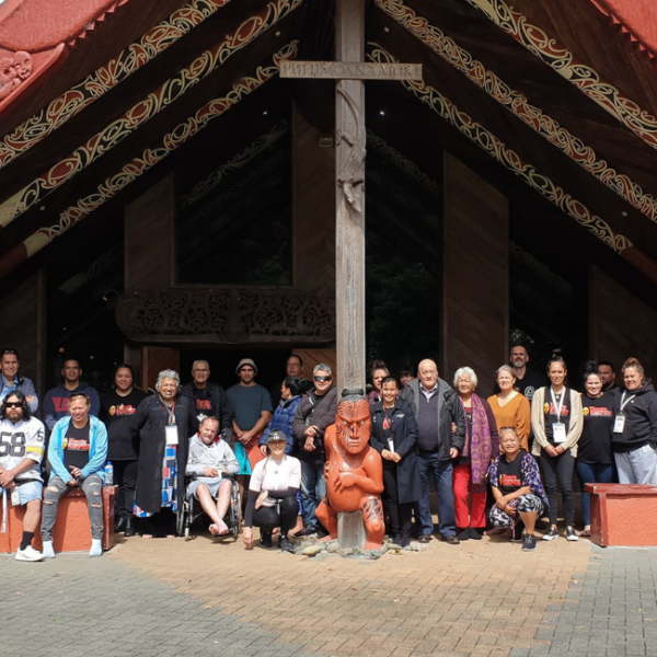 Mā Purapura Mai Māori Lived Experience Leadership Programme
