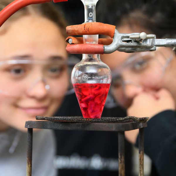 Celebrating International Day of Women and Girls in Science   